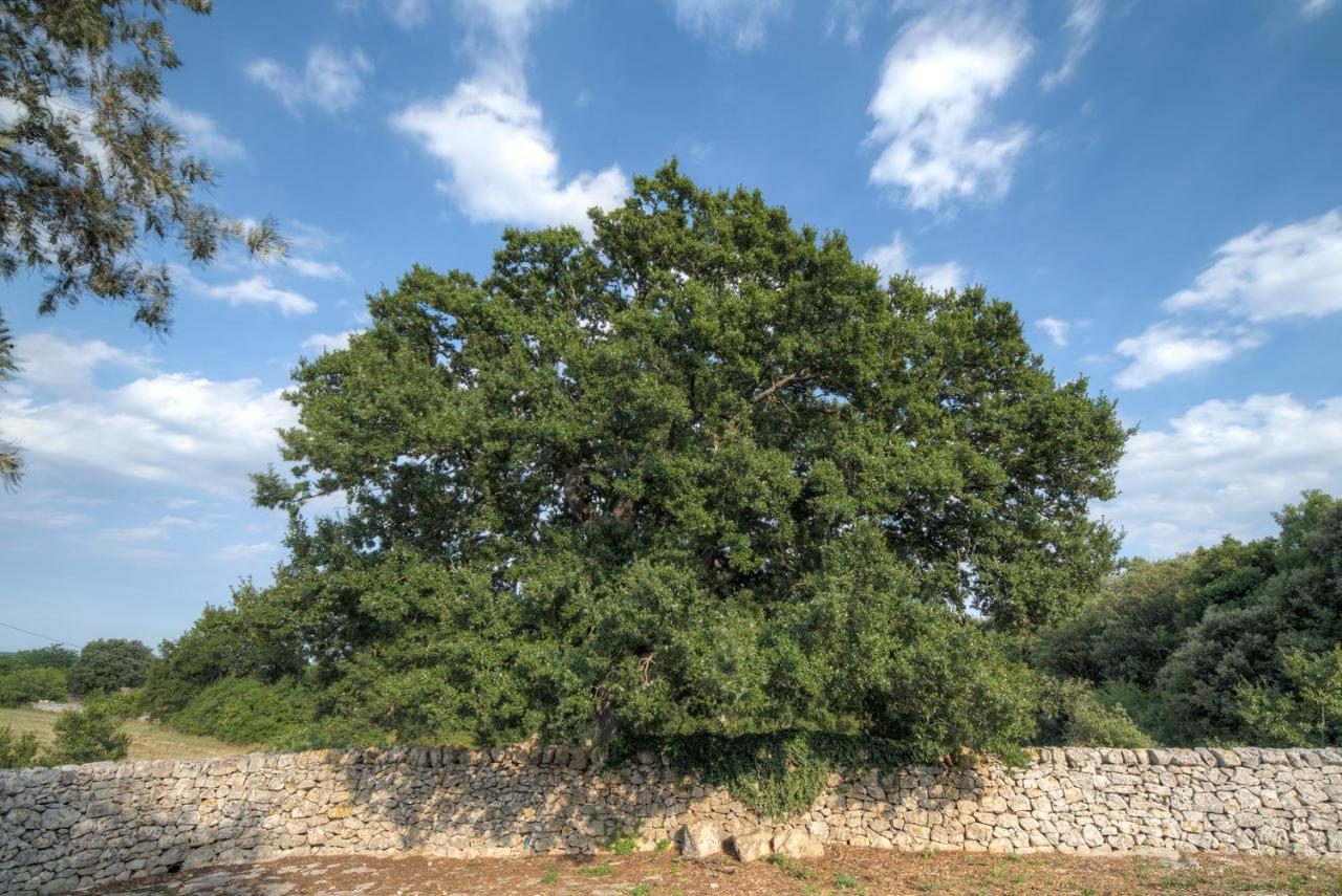 Вілла Trulli Capo Di Lupo By Rentbeat Чистерніно Екстер'єр фото